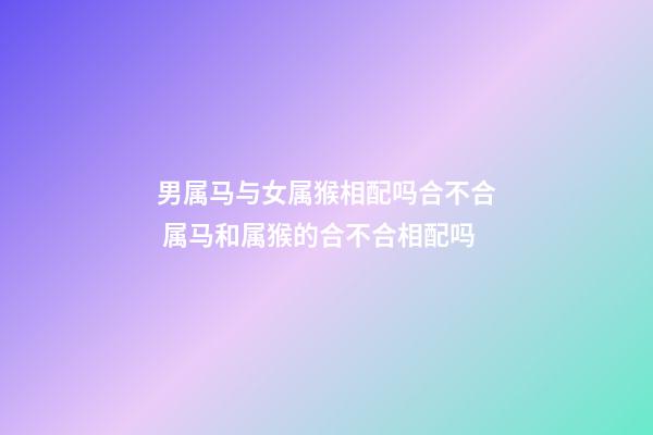 男属马与女属猴相配吗合不合 属马和属猴的合不合相配吗